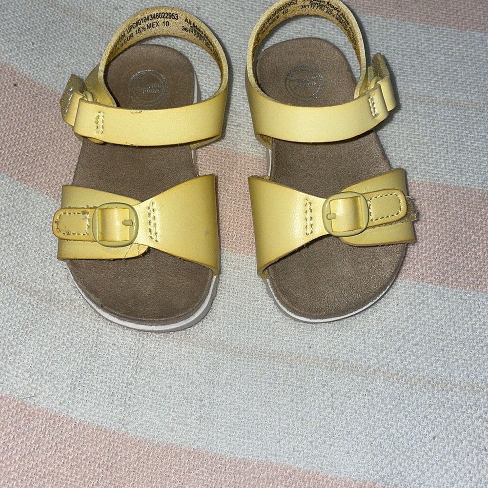 Size 3 wonder nation